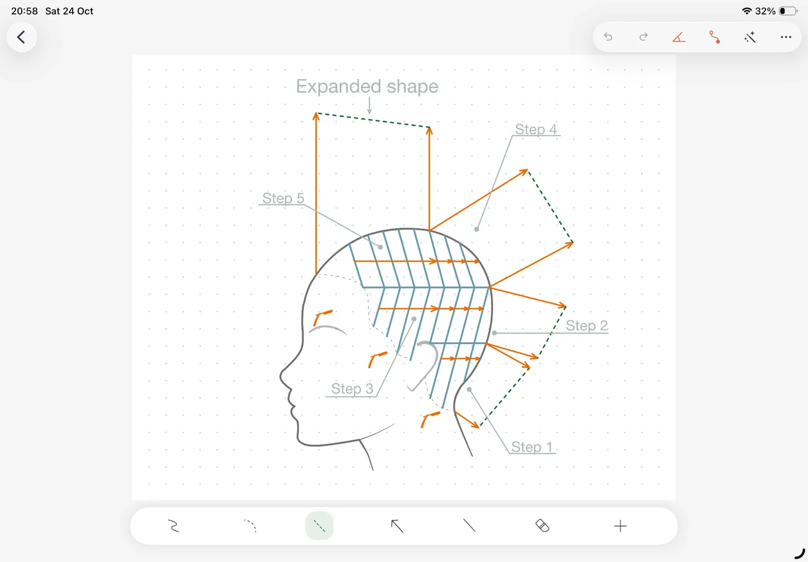 Hairtechapp on iPad: haircut diagram of an expanded shape with numbered cutting steps